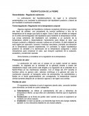 FISIOPATOLOGIA DE LA FIEBRE
