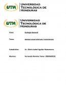 Energia solar ventajas y desventajas.