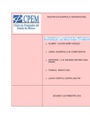 Desarrollo de competencias.