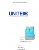 Proyecto de producto.