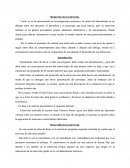 Redacción de la entrevista.