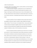 Análisis de la película germinal