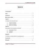 La obesidad en el Perú.