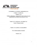 Medidas antidumping y compensatorias sobre lavadoras de gran capacidad para uso doméstico procedente de Corea.