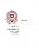 Diseño Organizacional Unidad 3.