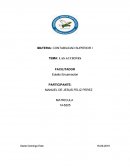 MATERIA: CONTABILIDAD SUPERIOR TEMA: LAS ACCIONES