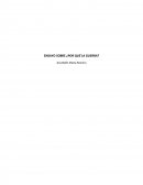 ENSAYO SOBRE ¿POR QUÉ LA GUERRA?