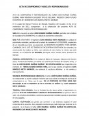 Acta de compromiso y absoluta responsabilidad