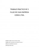 TRABAJO PRACTICO Nº 2 FLUJO DE CAJA EMPRESA