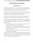 Psicologia del trabajo. Analisis en detalle lo que es el comportamiento de la persona