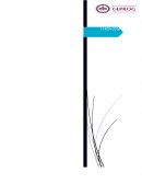 ¿Sabes cuál es la diferencia entre Varón, Hombre y Machista?,