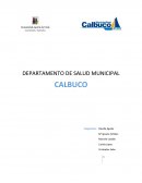 Investigacion Municipalidad de Calbuco