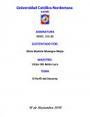 El Perfil del Docente.