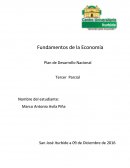 Fundamentos de la Economía Plan de Desarrollo Nacional