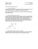 Preguntas Unidad 5 Metabolismo de lípidos