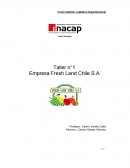 Logistica. Empresa Fresh Land Chile S.A.