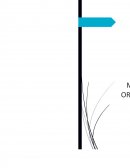 INDUSTRIA PRODUCTORA ECUATORIANA DEDICADA A LA ELABORACIÓN DEL BABANA CAKE S.A.