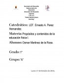 Materia: Propósitos y contenidos de la educación física I..