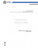 INFORME DE ANÁLISIS INTEGRADO DE LA EMPRESA