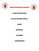 ANA ALICIA HERNANDEZ GONZALEZ.