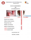 Emprendimiento y gestion. DULCE BENDICION DE DIOS