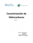 Caracterización de hidrocarburos.