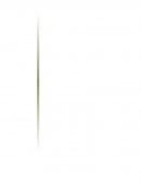 Ensayo salario mínimo .