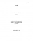 Provincianos y Cosmopolitas