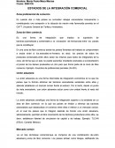 ESTADIOS DE LA INTEGRACIÒN COMERCIAL.