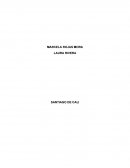 PROYECTO TERMINADO LAURA Y MARCELA...