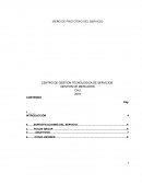CENTRO DE GESTION TECNOLOGICA DE SERVICIOS.