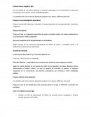 PLAN DE EXPORTACION DE FILETES PERICO CONGELADO A ESTADOS UNIDOS”