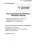 Metodologia de Acceso al Conocimiento 1.
