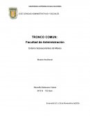 ENTORO SOCIECONIMICO.