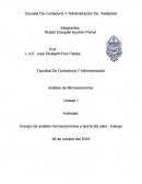 Ensayo de análisis microeconómica y teoría del valor - trabajo