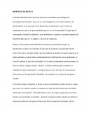 Diseño y medio ambiente