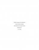 Trabajo en equipo en la organización.