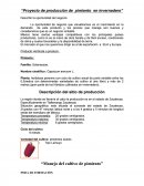 PROYECTO DE PRODUCCION DE PIMIENTO EN INVERNADERO.