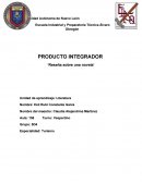 Ensayo mi hermoso desastre.