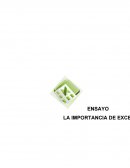 Importancia de excel.