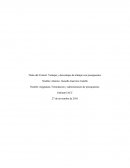 Ventajas y desventajas de trabajar con presupuestos.