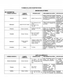 FARMACOLOGÍA RESPIRATORIA BRONCODILATORES