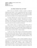 ¿Es el Dinero Señal de Vicio o de Virtud?