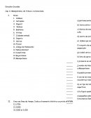 Mesopotamia Estudios Sociales