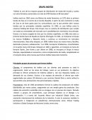 Estructura Recursos Humanos Inditex