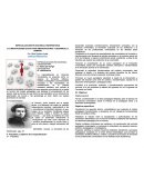 INNOVACIONES EDUCATIVAS EMANCIPADORAS Y DESARROLLO HUMANO