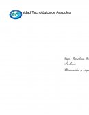 Planeacion del trabajo.