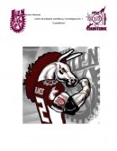 Ensayo libro patas arriba.