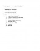 Tierra Caliente y sus características de estado fallido.