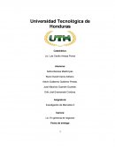 Informe Investigación de Mercado.